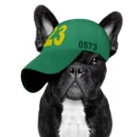 Sneaker Reinigung Hund mit Cap